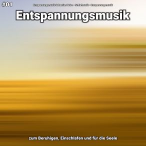 Download track Entspannungsmusik Teil 30 Entspannungsmusik