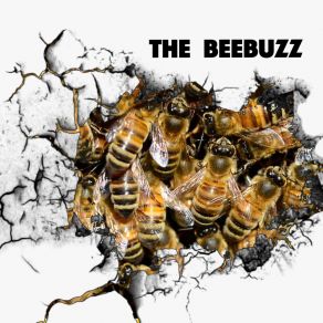 Download track Blue Sky (Original Mix) The BeeBuzz