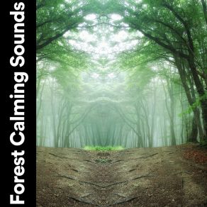 Download track Natural Calmness, Pt. 4 Sounds Backgrounds
