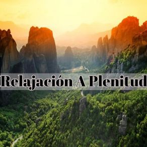 Download track Meditación Zen Meditacion Profunda