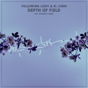 Download track Depth Of Field (Original Mix) El Chem