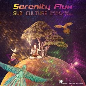 Download track Sub Culture Serenity Flux