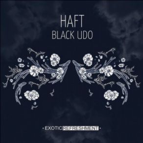 Download track Denic (Lukas Endhardt Acid Reflux) Haft