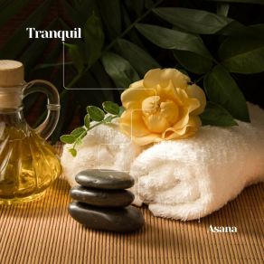 Download track Spa Treatment Thai Massage Music