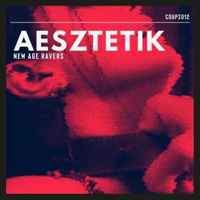 Download track Wild For The Night Aesztetik