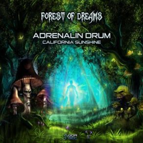 Download track Forest Of Dreams Adrenalin Drum, California Sunshine