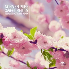 Download track Sweet Melody (Teenage Mutants Remix) Nora En Pure