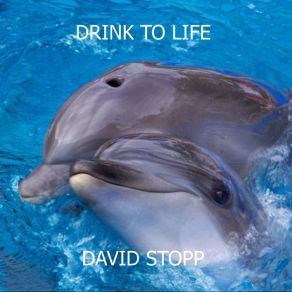 Download track Drink To Life David Stopp