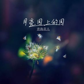 Download track 海英浪花灯 青海花儿