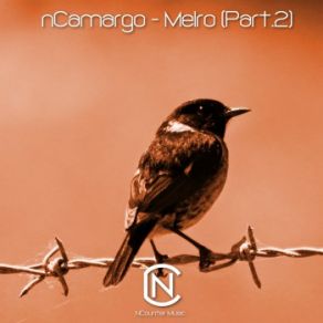 Download track Wanting (Original Mix) NCamargo