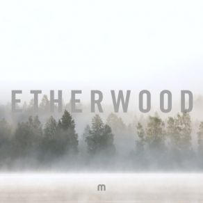 Download track Three Eagles Etherwood