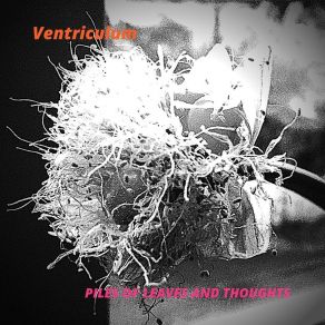 Download track Aquatic Journey Ventriculum