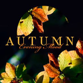 Download track Spend Lovely Autumn Evening Calming Music Artists