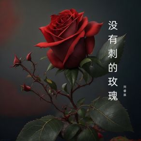 Download track 一定会更好 刘睿宸