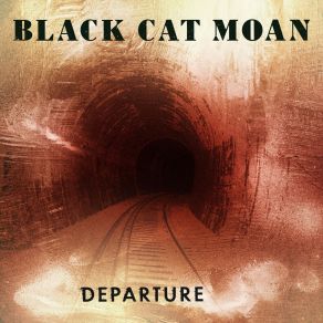 Download track Electrified Black Cat Moan