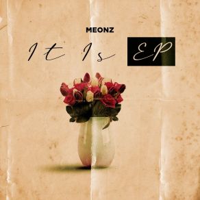 Download track Madalitso MeonzNes Nes