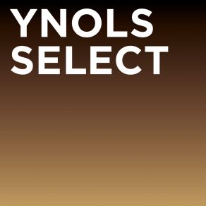 Download track Musings Ynols