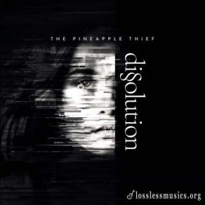 Download track White Mist (Alt) The Pineapple Thief, Тhе Рinеаррlе Thiеf