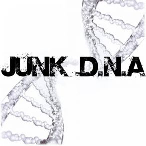 Download track The Law Junk D. N. A