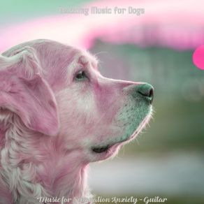 Download track Scintillating Ambiance For Separation Anxiety Dazzling Music For Dogs