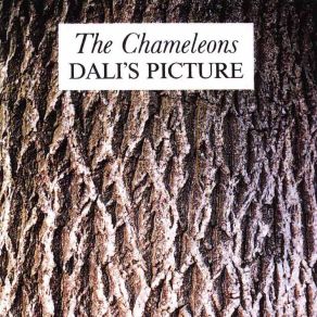 Download track Dali'S Picture The Chameleons