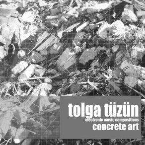 Download track Uncomfortable Possibilities Of Seemless Unions Tolga Tüzün