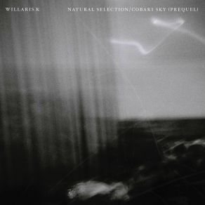 Download track Natural Selection Willaris. K