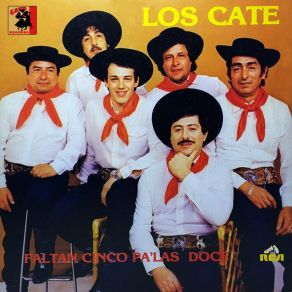 Download track Virgencita De Caacupé Los Cate