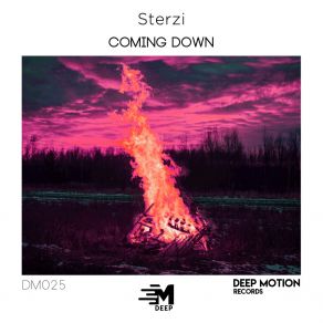 Download track Coming Down (Extended Mix) Sterzi