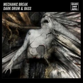 Download track Shilen Mechanic Break