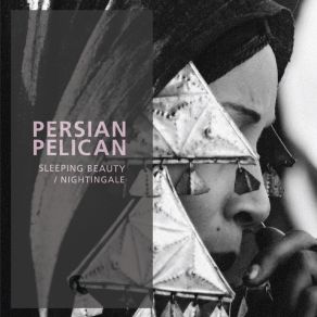 Download track Nightingale Persian Pelican