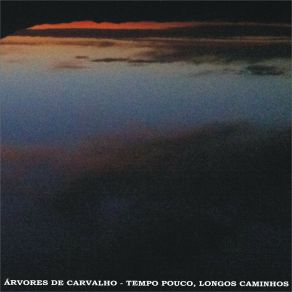 Download track O Meu Amigo Que Viajou E Nunca Mais Voltou Árvores De Carvalho