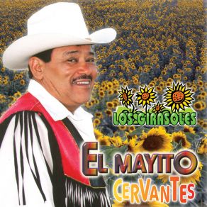 Download track Masacre En El Cajoncito El Mayito Cervantes