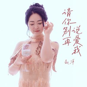 Download track 请你别再说爱我 (DJ阿哲版伴奏) 赵洋