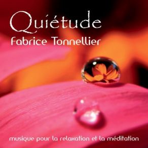 Download track Le Lagon Magnifique Fabrice Tonnellier