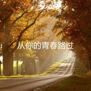 Download track 没有很爱你 (伴奏) 宋梧恩