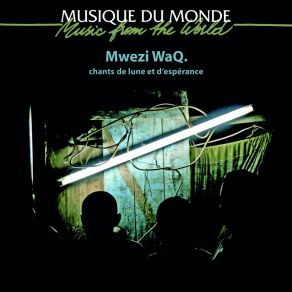 Download track Experimental Blues Of Moroni Mwezi Waq