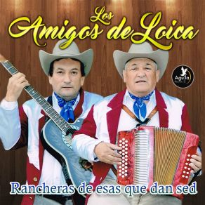 Download track Flor Bonita Los Amigos De Loica