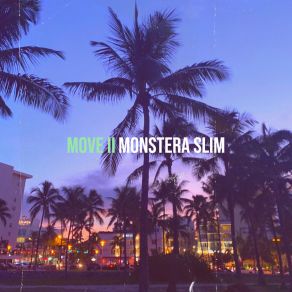 Download track Collins Ave Monstera Slim