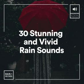 Download track Vividly Rain, Pt. 24 Always Raining