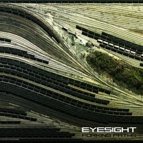 Download track Forking Paths Eyesight