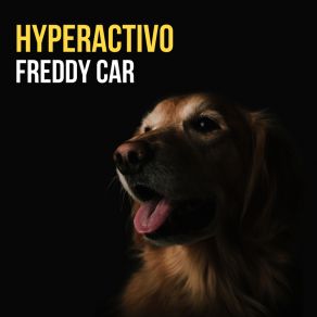 Download track Me Has Traumado Freddy Car