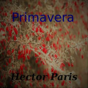 Download track Hojas Caidas Héctor Paris