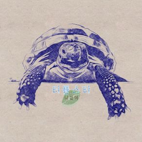 Download track TURTLE STAR (Stripped) Nicolee