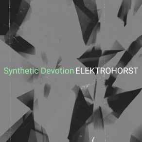 Download track Silent Echoes Elektrohorst