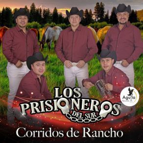 Download track Me Voy Muy Lejos Los Prisioneros Del Sur