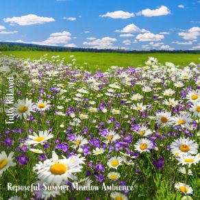 Download track Reposeful Summer Meadow Ambience, Pt. 3 Steve Brassel