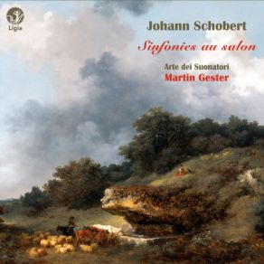 Download track Sonate En Fa Majeur, Op. 9 No. 2 I. Allegro Molto Arte Dei Suonatori, Martin Gester