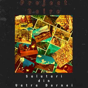 Download track Birnarel Project Noire