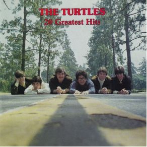 Download track The Story Of Rock & Roll Turtles, The